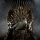 Illustration for article titled Ser Pounce wins iGame Of Thrones, /ias shown in this photoshopped picture